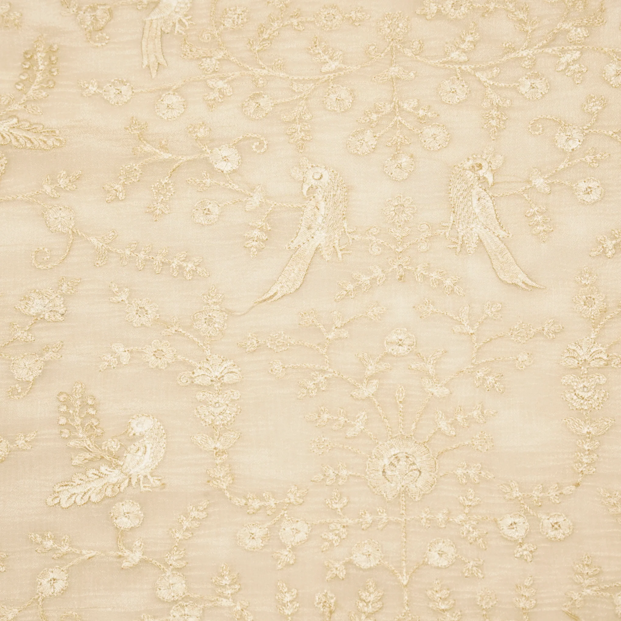 Hasna Beige Viscose Raw Silk Embroidered Fabric in Jaal Pattern - Image 3